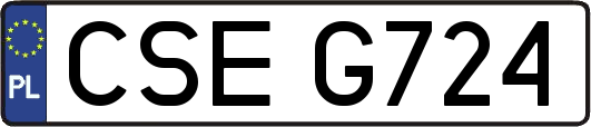 CSEG724