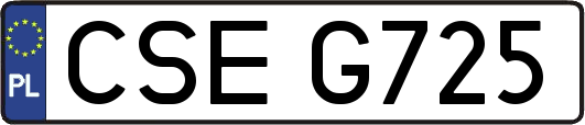 CSEG725