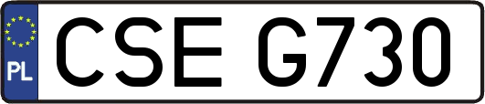 CSEG730