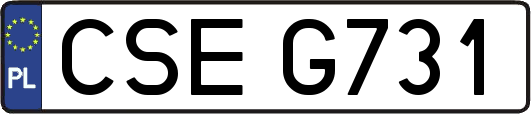 CSEG731