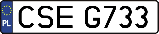 CSEG733