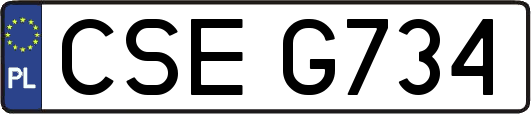 CSEG734