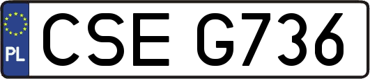 CSEG736