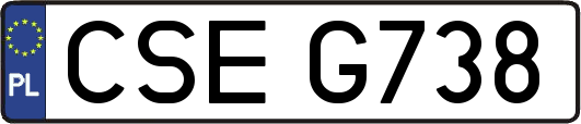 CSEG738