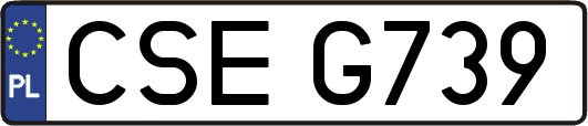 CSEG739