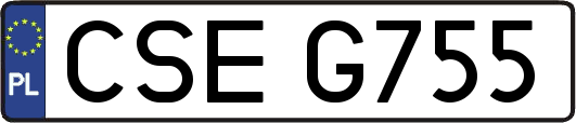 CSEG755