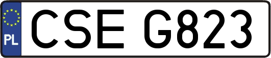 CSEG823