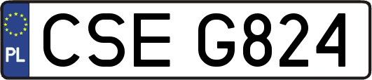 CSEG824