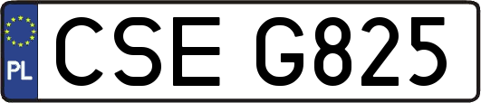 CSEG825