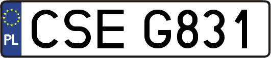 CSEG831