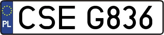 CSEG836