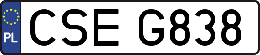 CSEG838