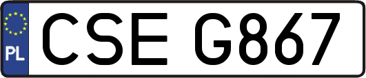 CSEG867