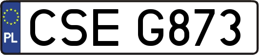 CSEG873