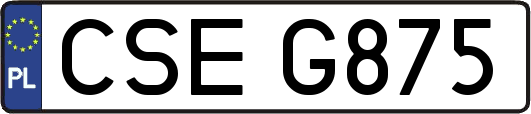 CSEG875