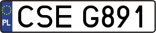 CSEG891