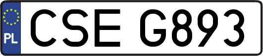 CSEG893