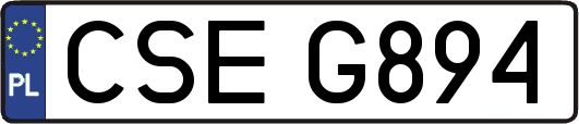CSEG894