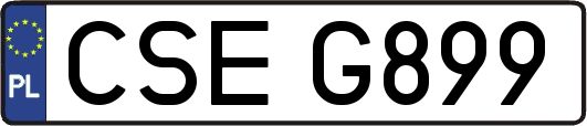 CSEG899