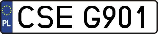 CSEG901
