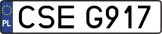 CSEG917