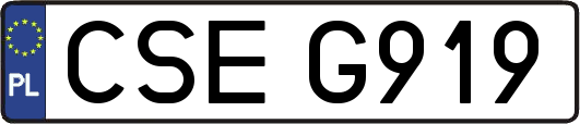 CSEG919