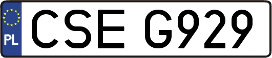 CSEG929