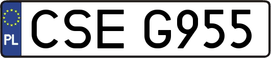 CSEG955
