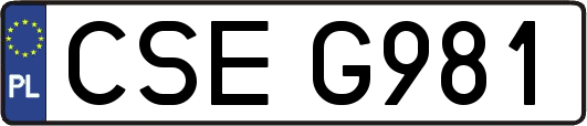 CSEG981