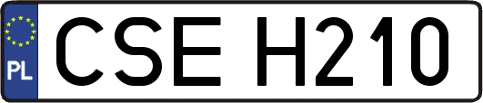 CSEH210