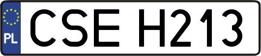 CSEH213