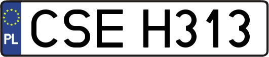 CSEH313