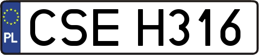 CSEH316