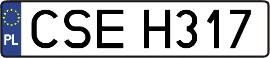 CSEH317
