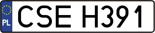 CSEH391