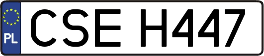 CSEH447