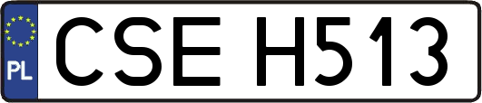 CSEH513