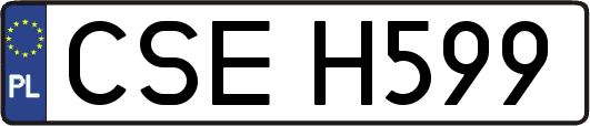 CSEH599