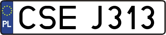 CSEJ313