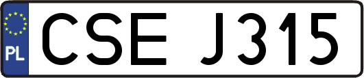 CSEJ315