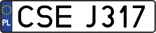 CSEJ317