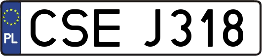 CSEJ318