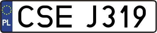 CSEJ319