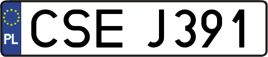 CSEJ391