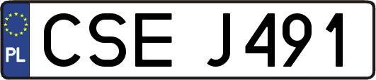 CSEJ491