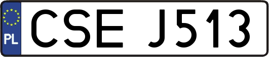 CSEJ513