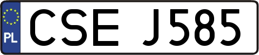CSEJ585