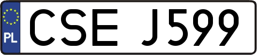 CSEJ599