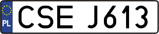 CSEJ613