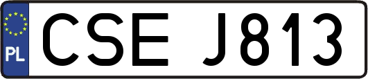 CSEJ813